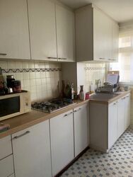Blk 8 Holland Avenue (Queenstown), HDB 3 Rooms #577797401